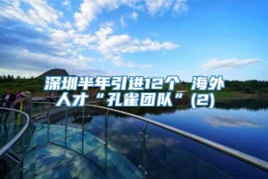 深圳半年引进12个 海外人才“孔雀团队”(2)