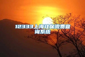 12333上海社保缴费查询系统