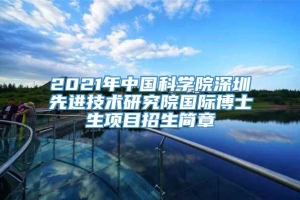 2021年中国科学院深圳先进技术研究院国际博士生项目招生简章
