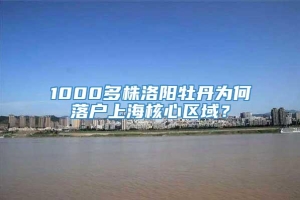 1000多株洛阳牡丹为何落户上海核心区域？