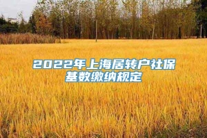 2022年上海居转户社保基数缴纳规定
