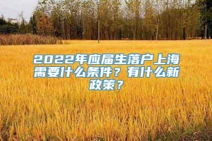 2022年应届生落户上海需要什么条件？有什么新政策？
