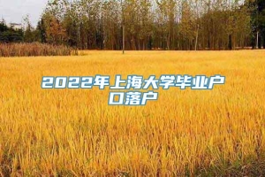 2022年上海大学毕业户口落户