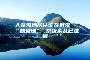 人在深圳居住证在武汉“被受理” 系统紊乱已注销