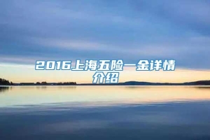 2016上海五险一金详情介绍