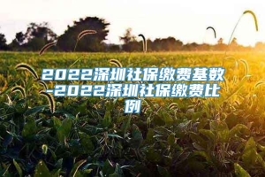 2022深圳社保缴费基数-2022深圳社保缴费比例