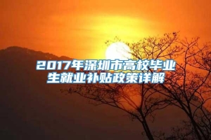 2017年深圳市高校毕业生就业补贴政策详解