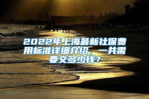 2022年上海最新社保费用标准详细介绍，一共需要交多少钱？