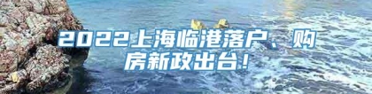 2022上海临港落户、购房新政出台！