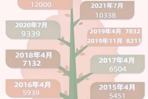 2022年薪资多少可以落户上海