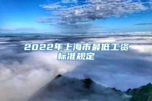 2022年上海市最低工资标准规定