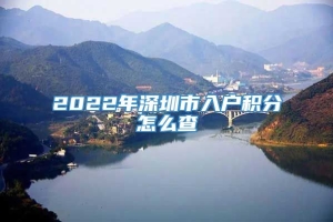 2022年深圳市入户积分怎么查