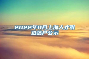 2022年11月上海人才引进落户公示