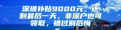 深圳补贴9000元，还剩最后一天，非深户也可领取，错过别后悔