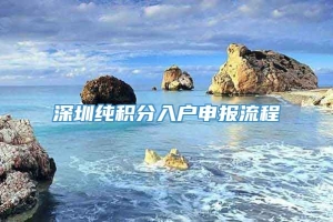 深圳纯积分入户申报流程