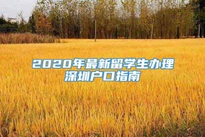 2020年最新留学生办理深圳户口指南