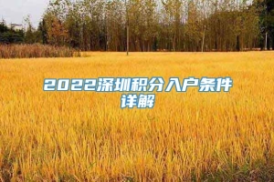 2022深圳积分入户条件详解