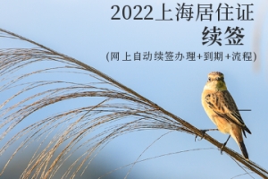 2022上海居住证续签新规定(网上自动续签办理+到期+流程)