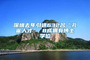 深圳去年引进632名“孔雀人才” 8成拥有博士学位