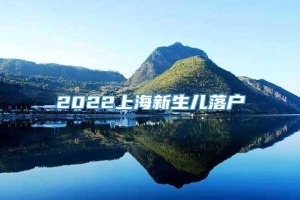 2022上海新生儿落户
