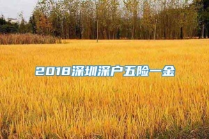 2018深圳深户五险一金