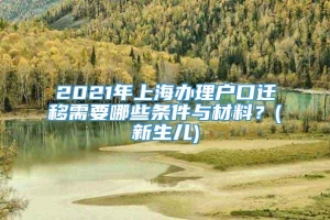 2021年上海办理户口迁移需要哪些条件与材料？(新生儿)