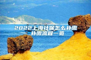 2022上海社保怎么补缴 补缴流程一览