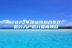 2022年深汕特别合作区积分入户积分查询项目