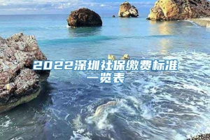 2022深圳社保缴费标准一览表