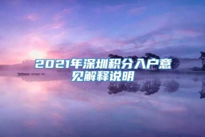 2021年深圳积分入户意见解释说明