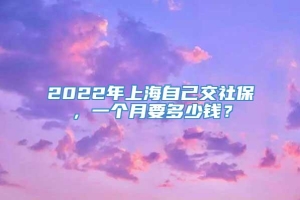 2022年上海自己交社保，一个月要多少钱？