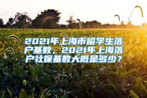 2021年上海市留学生落户基数，2021年上海落户社保基数大概是多少？