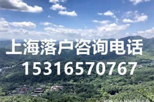 2021年上海落户人数所在公司排行榜