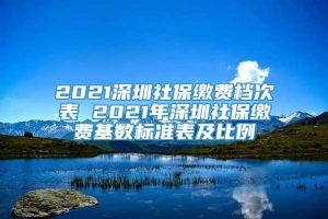 2021深圳社保缴费档次表 2021年深圳社保缴费基数标准表及比例