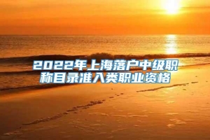 2022年上海落户中级职称目录准入类职业资格