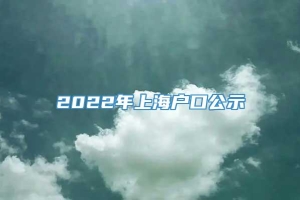 2022年上海户口公示