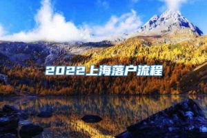 2022上海落户流程