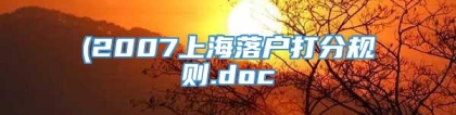 (2007上海落户打分规则.doc