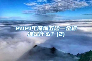 2021年深圳五险一金标准是什么？(2)