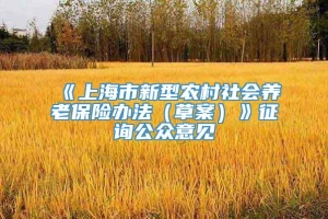 《上海市新型农村社会养老保险办法（草案）》征询公众意见