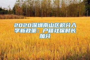 2020深圳南山区积分入学新政策：户籍社保时长加分