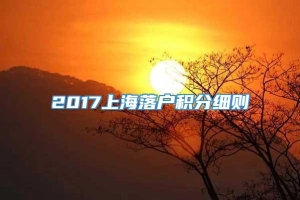 2017上海落户积分细则