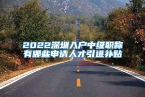 2022深圳入户中级职称有哪些申请人才引进补贴