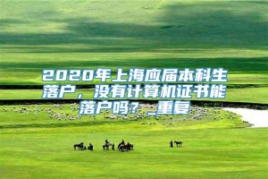 2020年上海应届本科生落户，没有计算机证书能落户吗？_重复