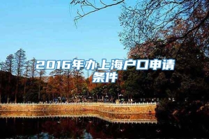2016年办上海户口申请条件
