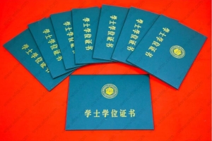2019年上海居住证积分申请学历和学位如何查询？