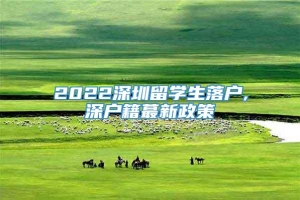 2022深圳留学生落户,深户籍蕞新政策