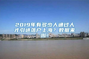 2019年有多少人通过人才引进落户上海？数据来啦！