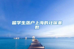 留学生落户上海的社保基数