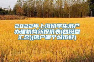 2022年上海留学生落户办理机构新报价表(各班型汇总)(落户哪个城市好)